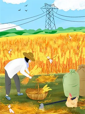 高手下山看见校花